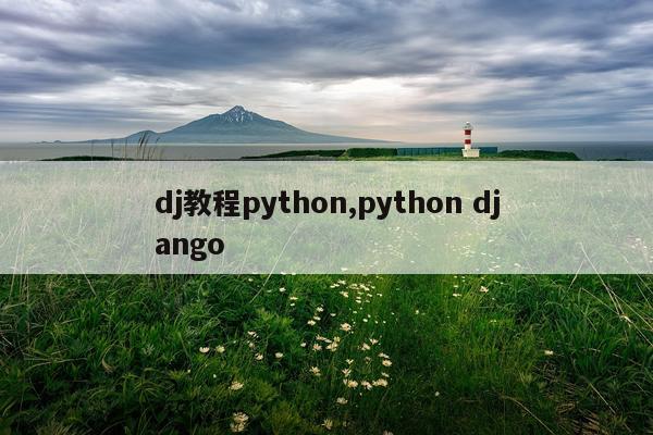 dj教程python,python django
