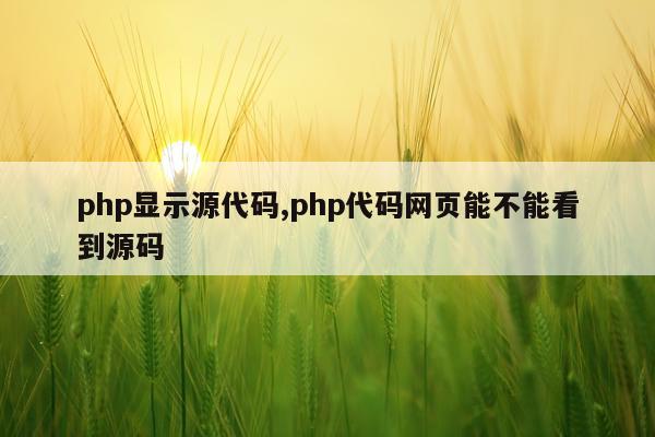 php显示源代码,php代码网页能不能看到源码