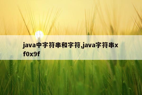 java中字符串和字符,java字符串xf0x9f