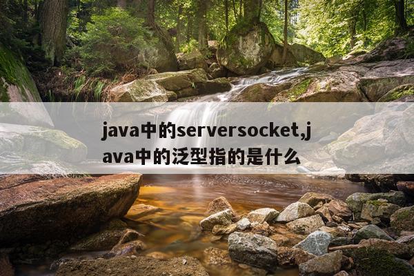 java中的serversocket,java中的泛型指的是什么
