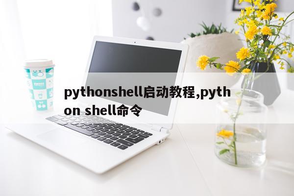 pythonshell启动教程,python shell命令