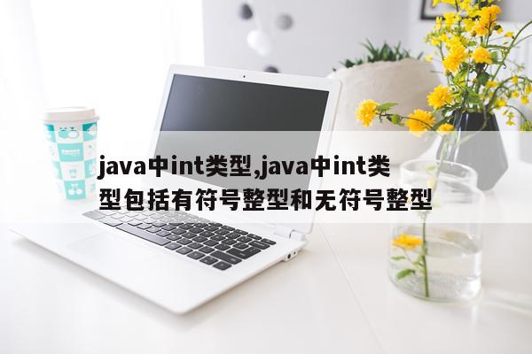 java中int类型,java中int类型包括有符号整型和无符号整型