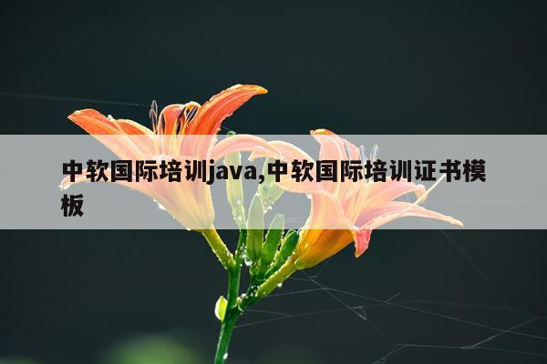 中软国际培训java,中软国际培训证书模板