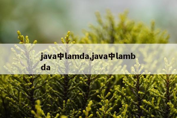 java中lamda,java中lambda