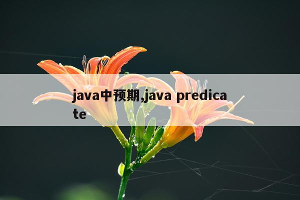 java中预期,java predicate