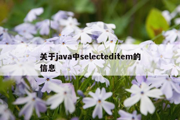 关于java中selecteditem的信息