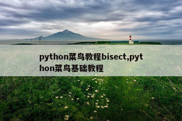 python菜鸟教程bisect,python菜鸟基础教程