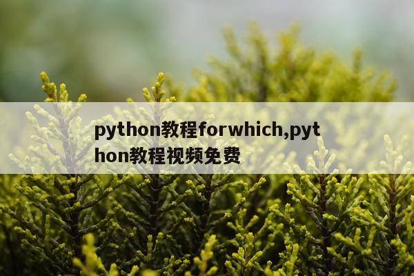 python教程forwhich,python教程视频免费