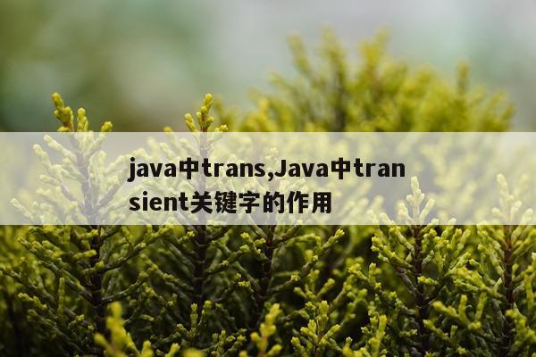java中trans,Java中transient关键字的作用