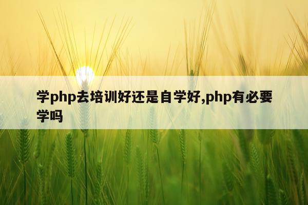 学php去培训好还是自学好,php有必要学吗