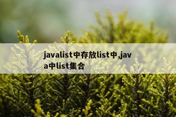 javalist中存放list中,java中list集合