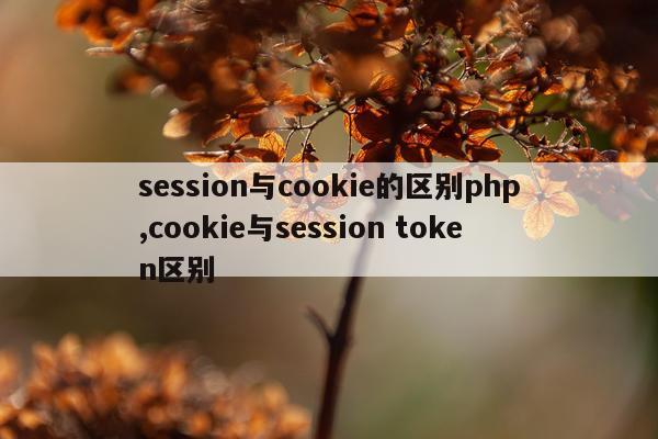 session与cookie的区别php,cookie与session token区别