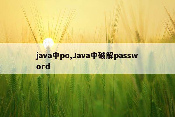 java中po,Java中破解password