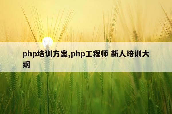 php培训方案,php工程师 新人培训大纲