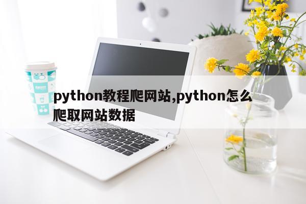 python教程爬网站,python怎么爬取网站数据