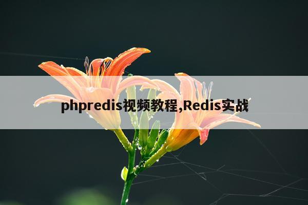 phpredis视频教程,Redis实战