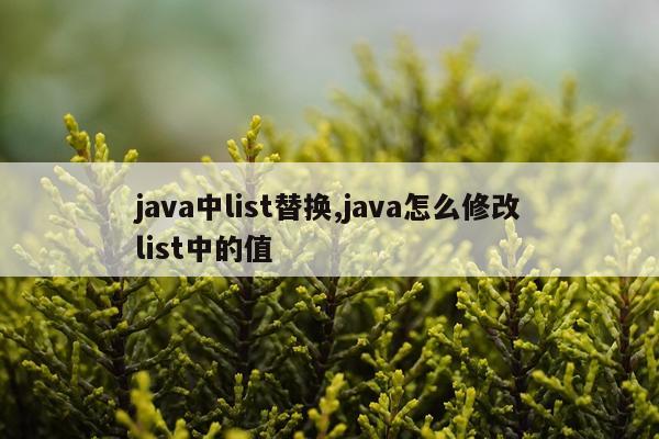 java中list替换,java怎么修改list中的值