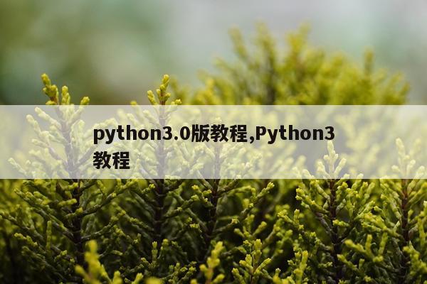python3.0版教程,Python3教程