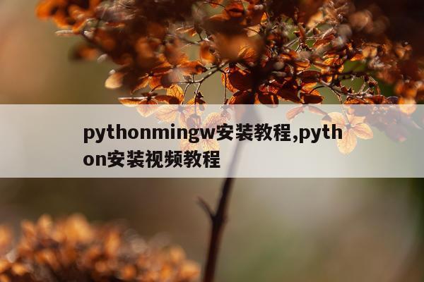pythonmingw安装教程,python安装视频教程