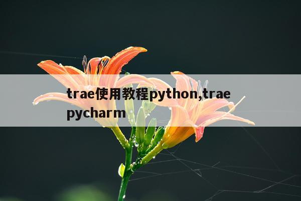 trae使用教程python,trae pycharm