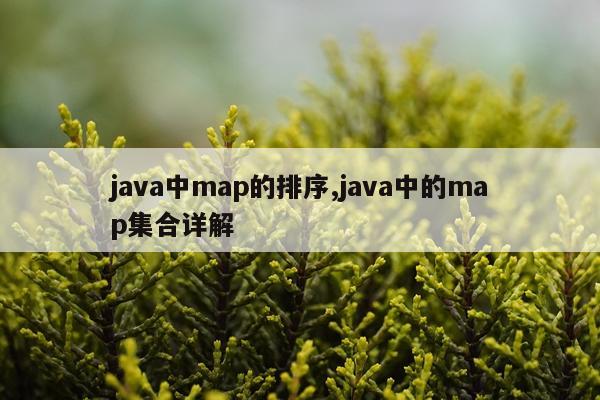 java中map的排序,java中的map集合详解