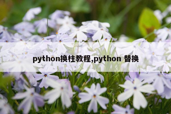 python换柱教程,python 替换