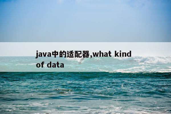 java中的适配器,what kind of data