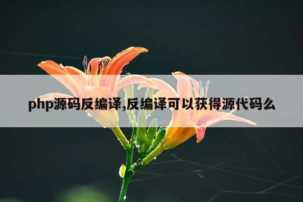 php源码反编译,反编译可以获得源代码么