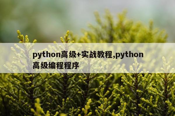 python高级+实战教程,python高级编程程序