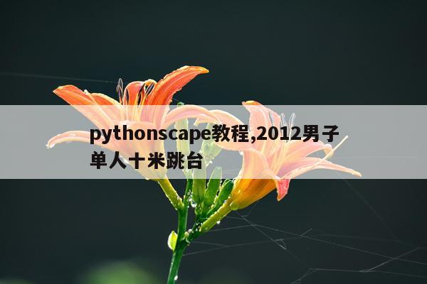 pythonscape教程,2012男子单人十米跳台