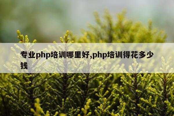 专业php培训哪里好,php培训得花多少钱
