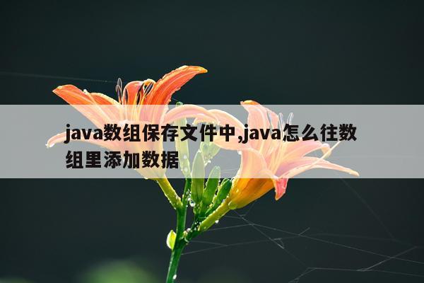 java数组保存文件中,java怎么往数组里添加数据