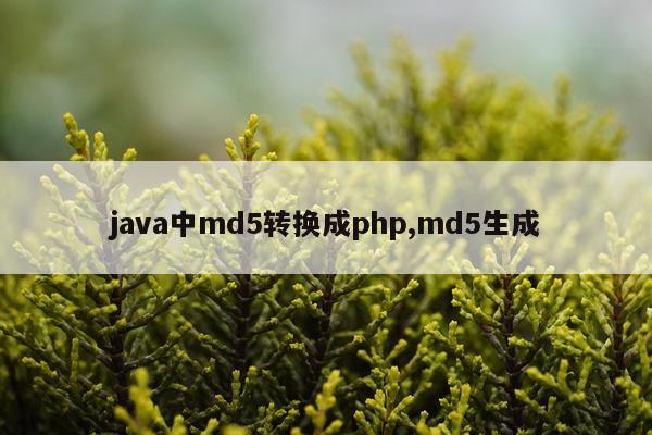 java中md5转换成php,md5生成