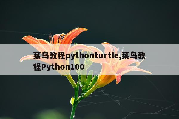 菜鸟教程pythonturtle,菜鸟教程Python100