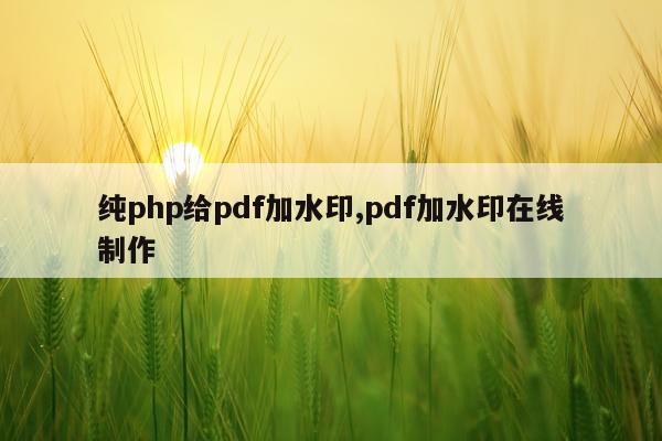 纯php给pdf加水印,pdf加水印在线制作