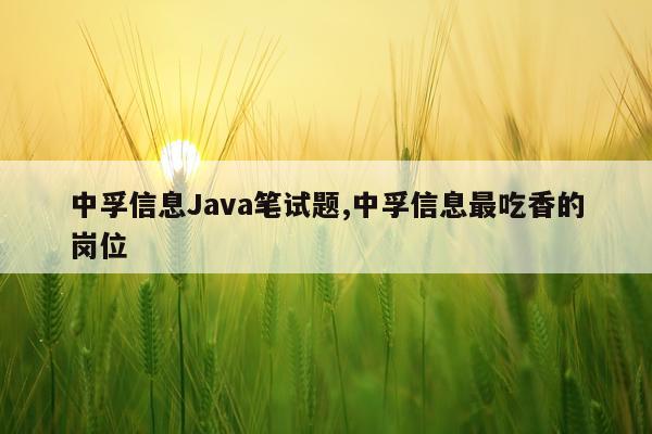 中孚信息Java笔试题,中孚信息最吃香的岗位