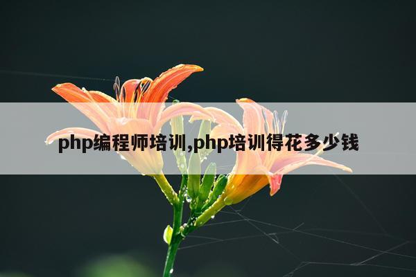 php编程师培训,php培训得花多少钱
