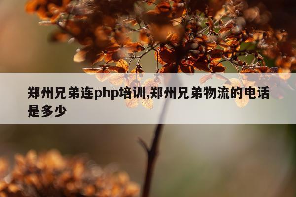 郑州兄弟连php培训,郑州兄弟物流的电话是多少