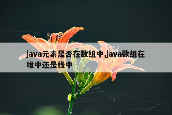java元素是否在数组中,java数组在堆中还是栈中