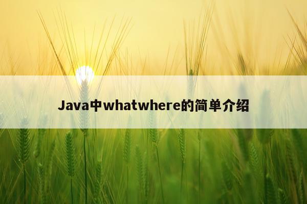 Java中whatwhere的简单介绍