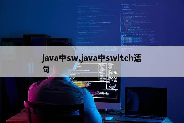 java中sw,java中switch语句