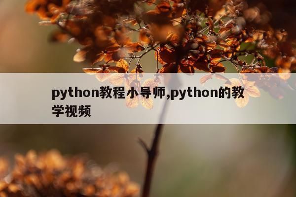 python教程小导师,python的教学视频