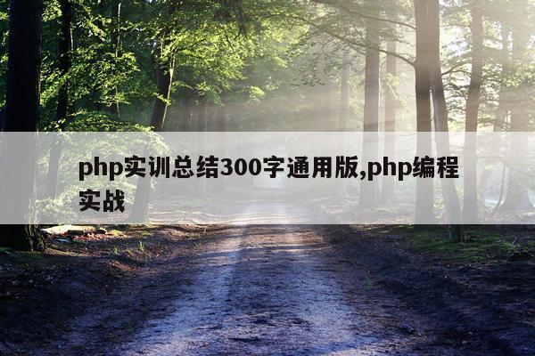 php实训总结300字通用版,php编程实战