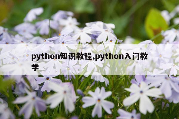 python知识教程,python入门教学