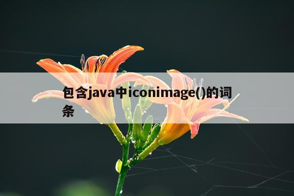 包含java中iconimage()的词条