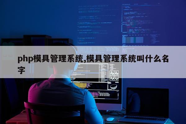 php模具管理系统,模具管理系统叫什么名字