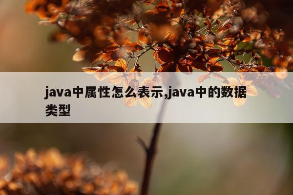 java中属性怎么表示,java中的数据类型