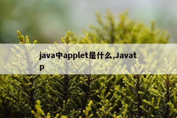 java中applet是什么,Javatp