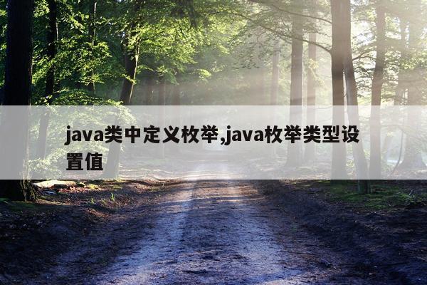 java类中定义枚举,java枚举类型设置值