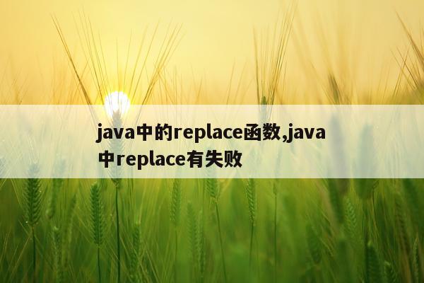 java中的replace函数,java中replace有失败